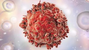 Бороться с раковыми клетками помогут…раковые клетки