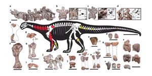 Гигантский динозавр, найденный в Аргентине, ошеломил учёных