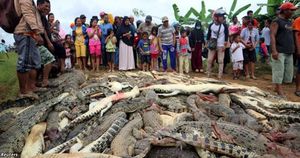 В Индонезии разъярённая толпа убила 300 крокодилов из-за желания мстить. Вот как все было