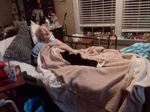 Кошка отказывается уходить от постели умирающей бабушки, которая её вырастила