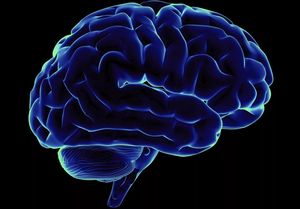 Обнаружены нейроны, отвечающие за сознание
