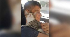 Слепой котенок сразу же влюбляет в себя спасителя