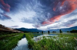 Природа… Фотограф Viktoria Haack