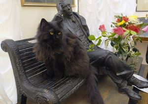 В Москве объявлен план "лапки": из дома-музея Булгакова украли кота Бегемота