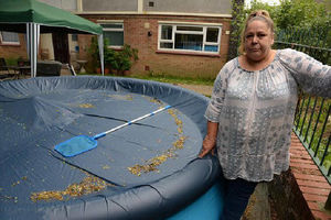 Жильцам дома запрещают ставить во дворе бассейн, потому что воры могут «случайно утонуть» в нем