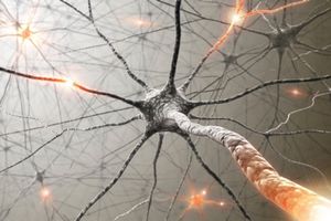 Корейские ученые создали искусственные синапсы