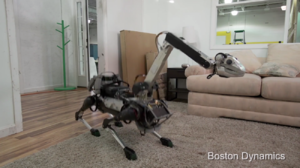 Хозяйственный и очень милый робот-собака от Boston Dynamics