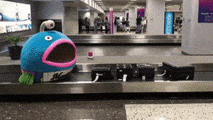 16 уморительных фотографий о том, что работникам аэропорта скучно не бывает
