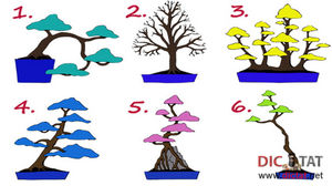 Выбери свое дерево и узнай свою сильную сторону