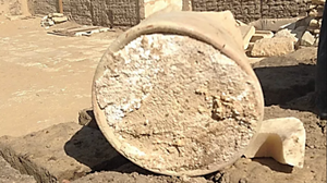 Самый древний в мире сыр, обнаруженный в древней гробнице, оказался смертельно опасен