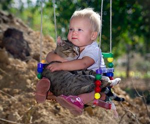 Почему у каждого ребенка должен быть кот? 14 веских причин...