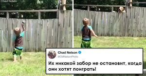 Забор не может остановить 2-летнего ребенка, если он хочет играться с собакой