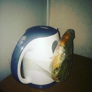 Начинающие инженеры