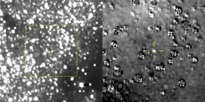 Космический зонд «Новые горизонты» получил первую фотографию своей новой цели