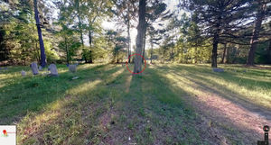 На снимке заросшего кладбища в Google Maps разглядели пугающую голову «девочки-призрака»