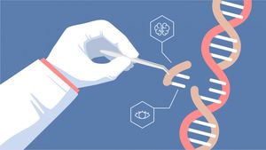 С помощью редактора генома CRISPR удалось вылечить мышечную дистрофию