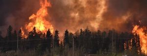 8 самых разрушительных пожаров последнего времени
