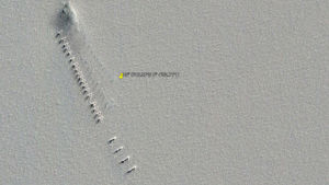 На картах Google Earth в Антарктиде нашли ряд странных идентичных объектов