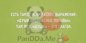 Для отличного настроения мы подготовили 15 коротких смешных и жизненных историй