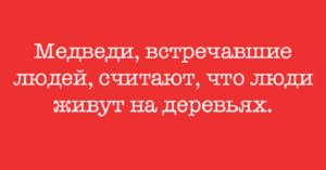 Горячая дюжина свежайших смешных анекдотов