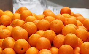Как шеф-повара выбирают вкусные апельсины: 4 момента, на которые стоит обратить внимание