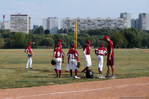 В парке Братеевская пойма есть бейсбольный стадион