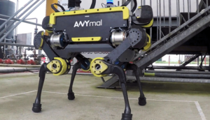 Видео: робот ANYmal выполняет задачи не хуже, чем SpotMini