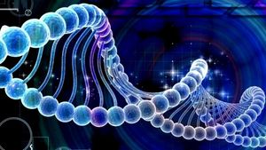 «Мусорная» ДНК может спровоцировать наркотическую зависимость