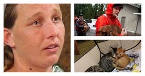 Спасительницу кошек и собак арестовали за организацию стихийного приюта во время наводнения