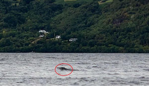 Турист заснял в озере Лох-Несс спину Несси, а американка нашла в Google Earth фото с шеей Несси