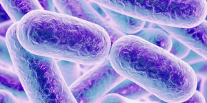 Бактериальный белок мимикрирует под ДНК, чтобы прорвать оборону клетки