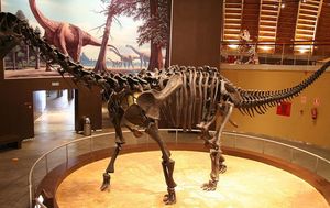 В ЮАР нашли останки одного из самых крупных динозавров Юрского периода