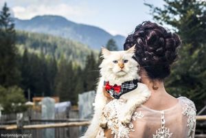 Фотограф снимает невест с их кошками и результат очарователен!