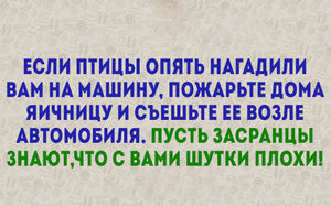 Живём с юмором! Прикольные афоризмы повседневности