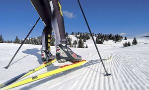 Беговые лыжи: типы и параметры выбора