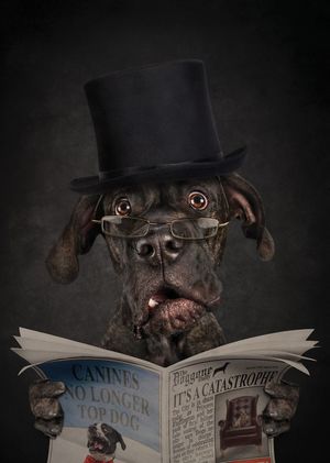 Фотопортреты собак и кошек, на которых они чертовски похожи на людей