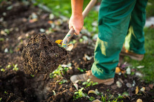 Стоит ли перекапывать почву осенью?