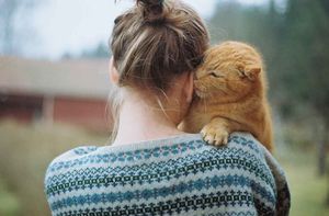 Кошачья любовь — не выдумка? Каких людей любят кошки?