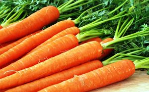 Маски из моркови для лица — рецепты для разных типов кожи