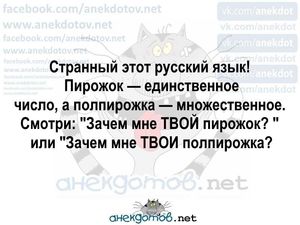 Анекдоты про засаду:"Вот такой вот я интересный зверек"