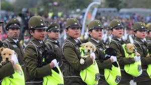 Главным украшением военного парада в Чили стали… щенки в мешочках!