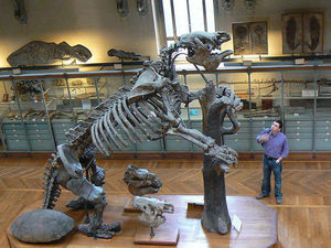 Самые ужасные доисторические предки современных животных