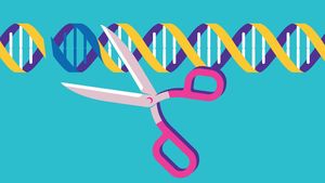 Новая модификация CRISPR сможет отредактировать до 50 процентов генома