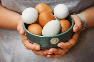 Как приготовить яйца разными способами на уровне шеф-повара