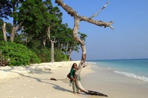 Андаманские острова краткая информация