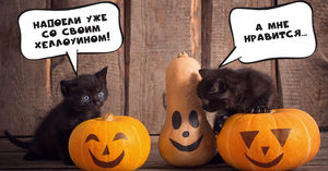 Хеллоуин — праздник с двойным дном: нужно ли запрещать