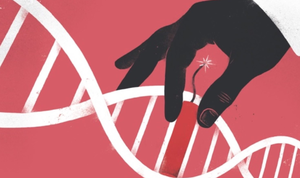Безопасен ли CRISPR на 100 процентов? Ученые говорят, что нет, но предлагают пути решения