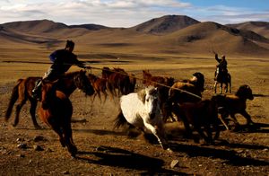 Монгольские слова - виньетка ложной сути