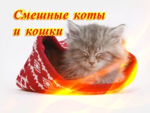 Позитив