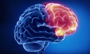 «Охлаждение мозга» — новый метод в борьбе с болезнью Паркинсона
